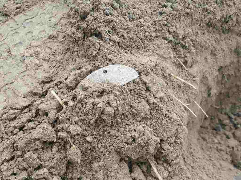 Half dog tag was found in one of arroyos in Pitomnik Half dog tag was found in one of arroyos in Pitomnik