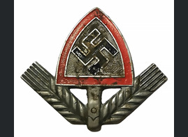 RAD cap badge / from Voronezh