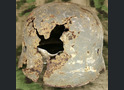 German helmet M35 / from Stalingrad