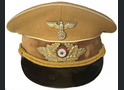 NSDAP Cap