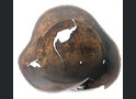 Waffen SS helmet M40 / from Novgorod