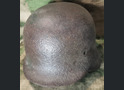 German helmet M40