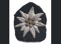 Edelweiss SS-insignia