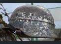 Winter camo German helmet M35 / from Leningrad