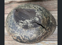 Soviet helmet SSh39 / from Stalingrad