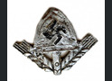 RAD cap badge  / from Stalingrad