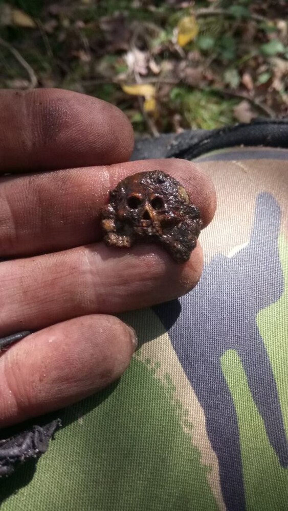 Panzer collar tab skull / from Koenigsberg