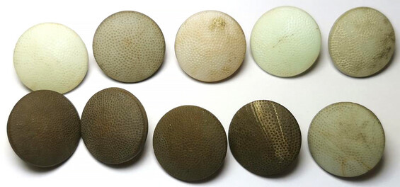 Porcelain Wehrmacht tunics buttons / from Leningrad
