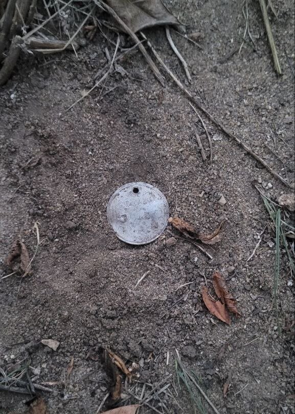 Romanian dogtag / from Crimea