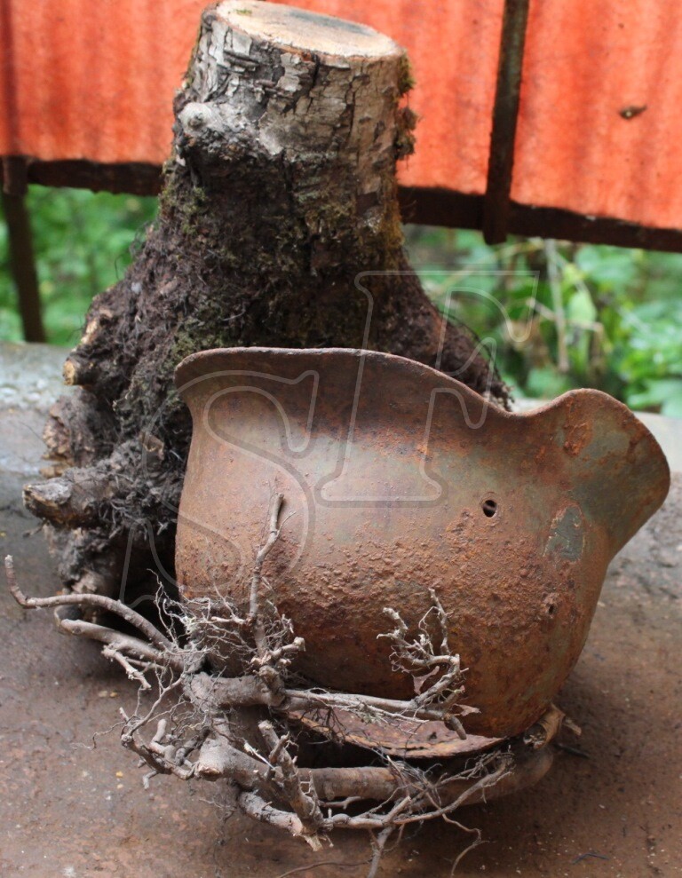 German helmet M35 / from Novgorod
