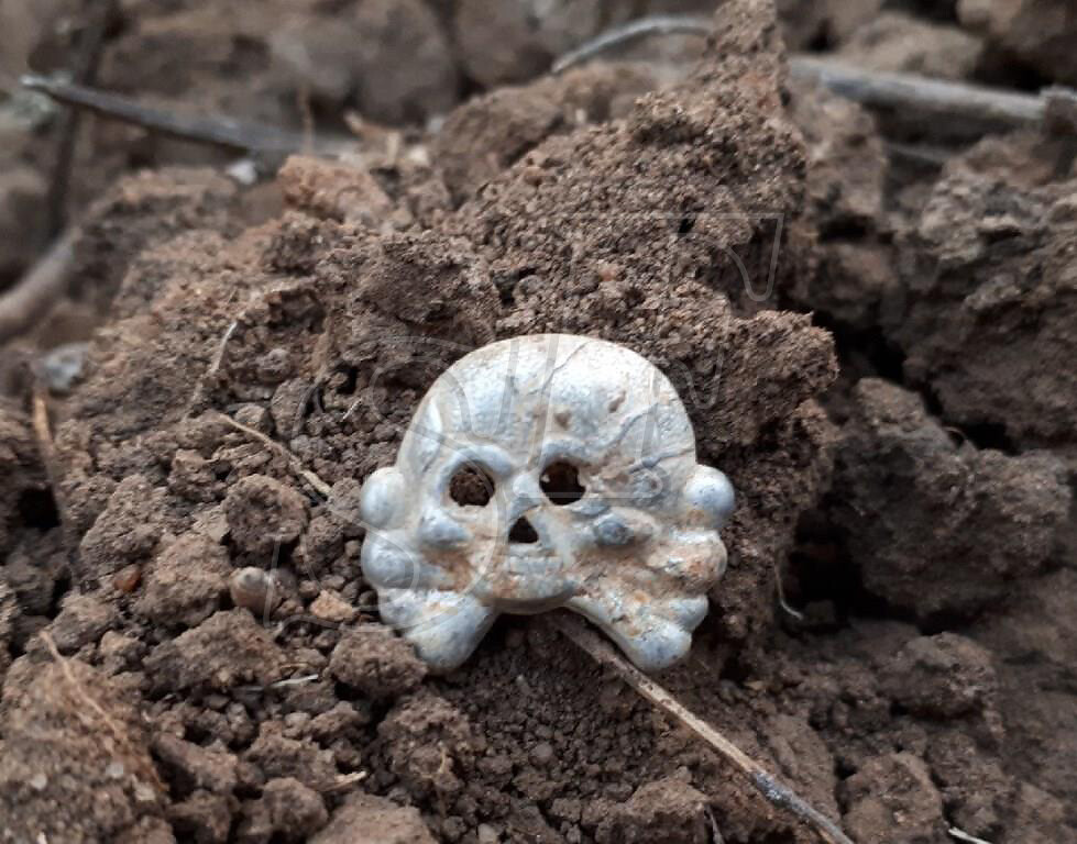 Panzer collar tab skull / from Stalingrad