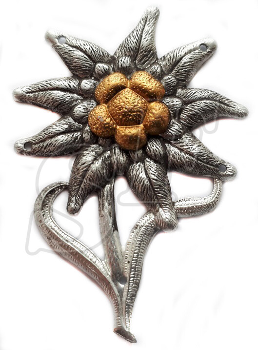 Edelweiss