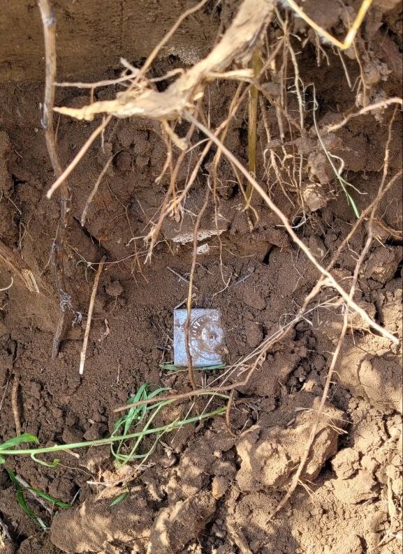 Wehrmacht belt buckle "Gott mit Uns" / from Stalingrad