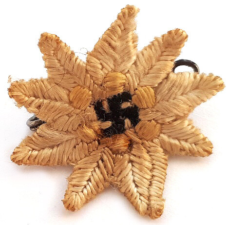 Edelweiss with swastika