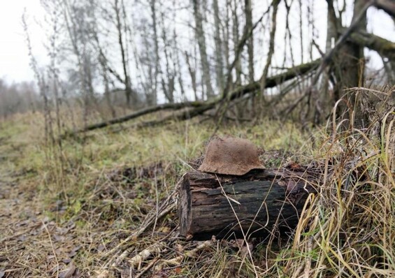 German helmet M40 / from Stalingrad