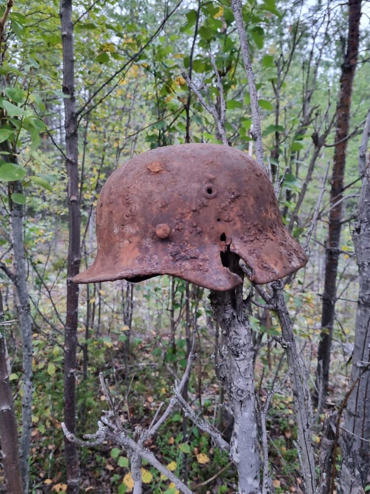 German helmet M40 / from Karelia