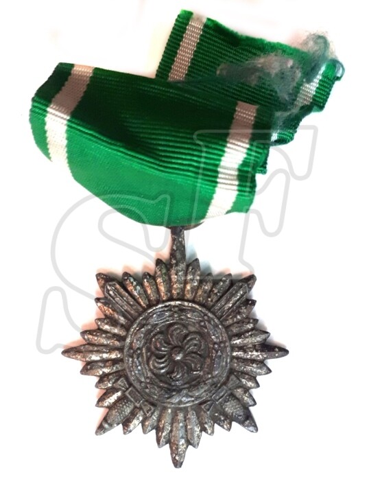 Ostfolker silver with sword from “Prokhorovka”